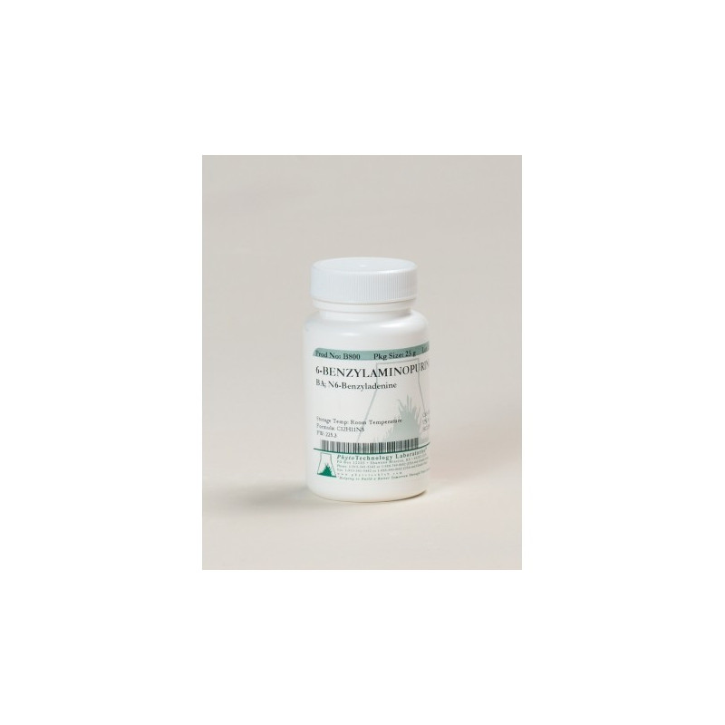 Benzylaminopurine - BAP