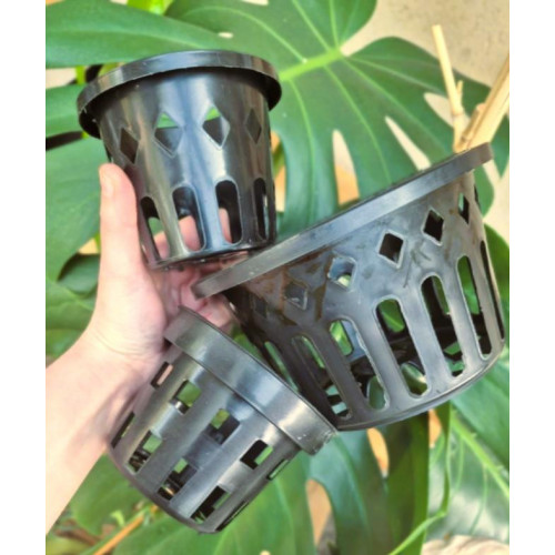 Pot Panier Noir en Plastique pour Orchidées Épiphytes – Support Aéré, Idéal pour Vanda, Cattleya et Dendrobium