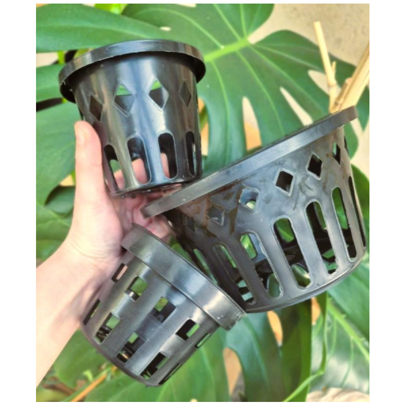 Pot Panier Noir en Plastique pour Orchidées Épiphytes – Support Aéré, Idéal pour Vanda, Cattleya et Dendrobium