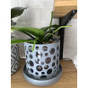 Pot by Corentin with integrated saucer