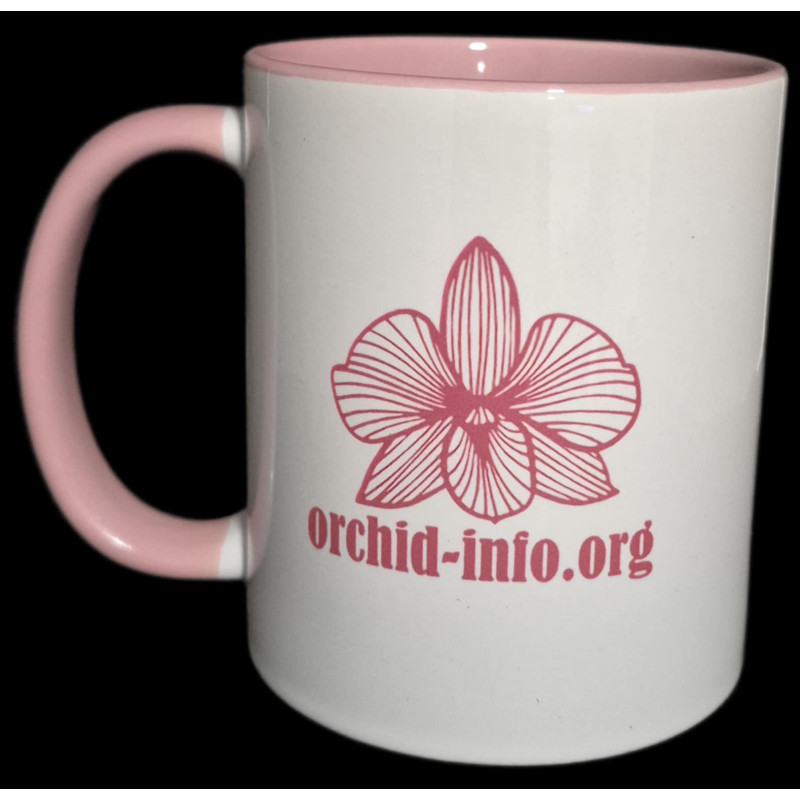 Mug Orchid Info