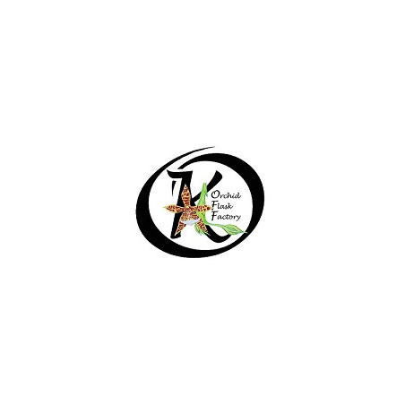 VENTE PRIVEE FACEBOOK 01