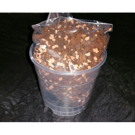 Orchid Repotting Kit