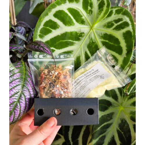 Repotting kit out of bottle for baby / young orchid