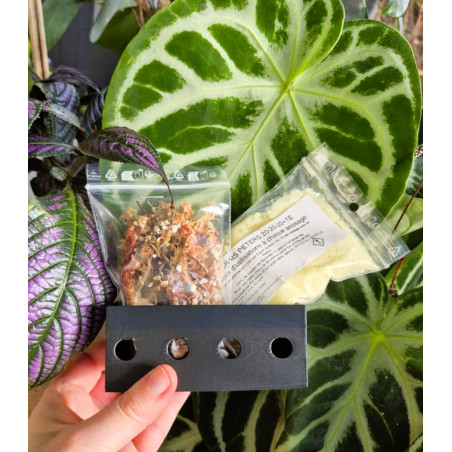 Repotting kit out of bottle for baby / young orchid
