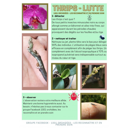 Blue Sticky Trap for Thrips Control