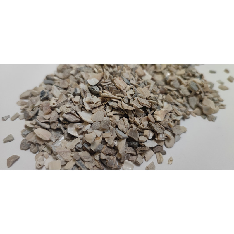 Shells - calcium for substrate