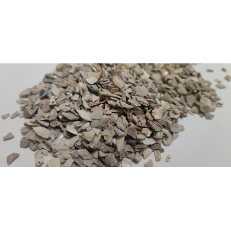 Coquilles - calcium maintien substrat