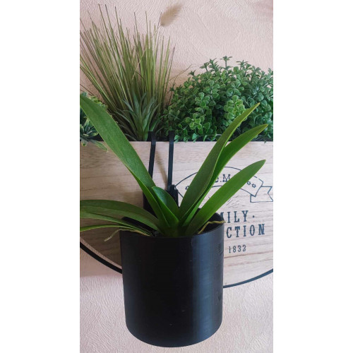 Kay Orchid pot  -  VertiEspace