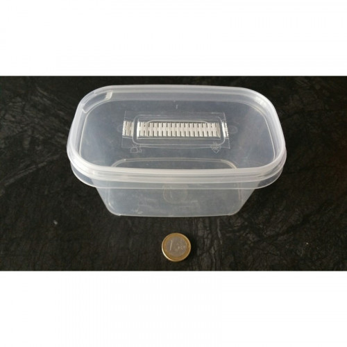 Micropropagation Box 540ml - sowing and replate