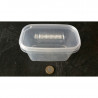 Micropropagation Box 540ml - sowing and replate