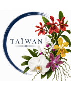 Taiwan imports