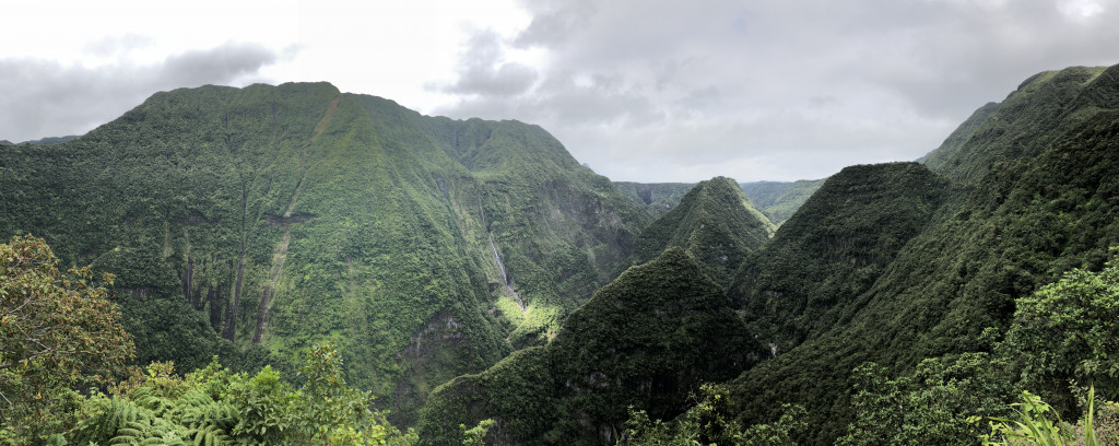 1 - La Réunion, hier et aujourd'hui, un projet de conservation des orchidées