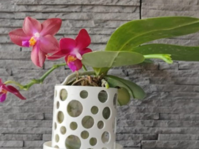 Les pots 3D : changement de nom et explications